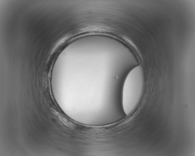 X0000082151067200701191018