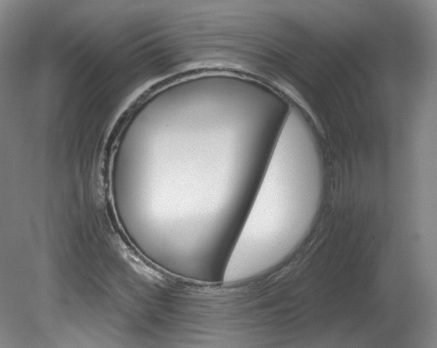 X0000082151068200701191018