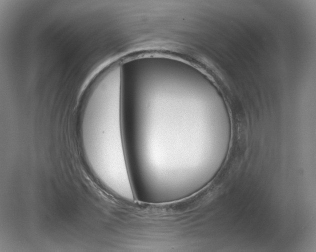 X0000082151069200701191018