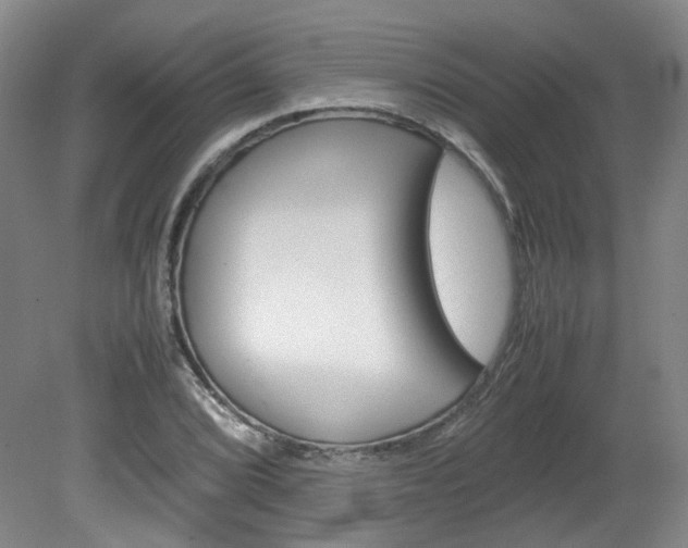 X0000082151072200701191017