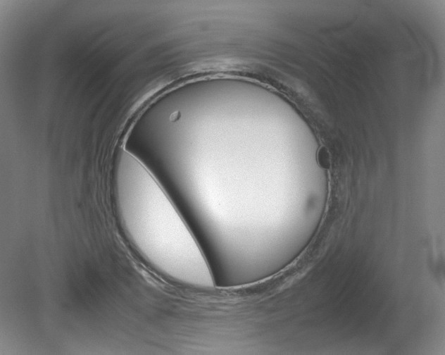 X0000082151073200701191017