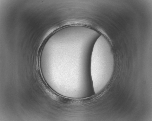 X0000082151079200701191017