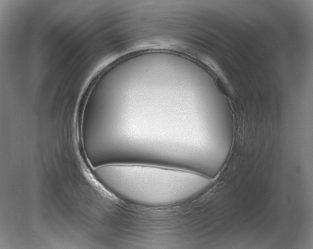 X0000082151080200701191017