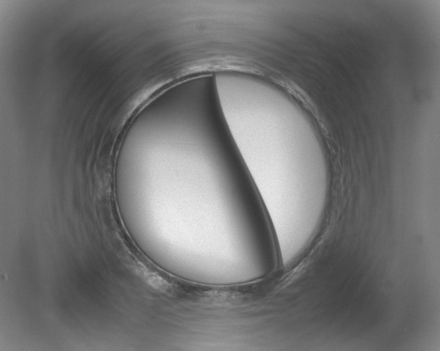 X0000082151081200701191017