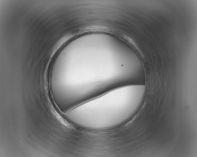 X0000082151082200701191017