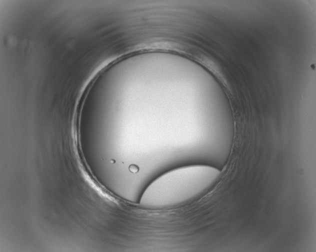 X0000082151084200701191017