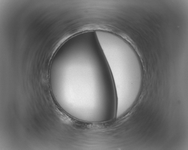 X0000082151089200701191017
