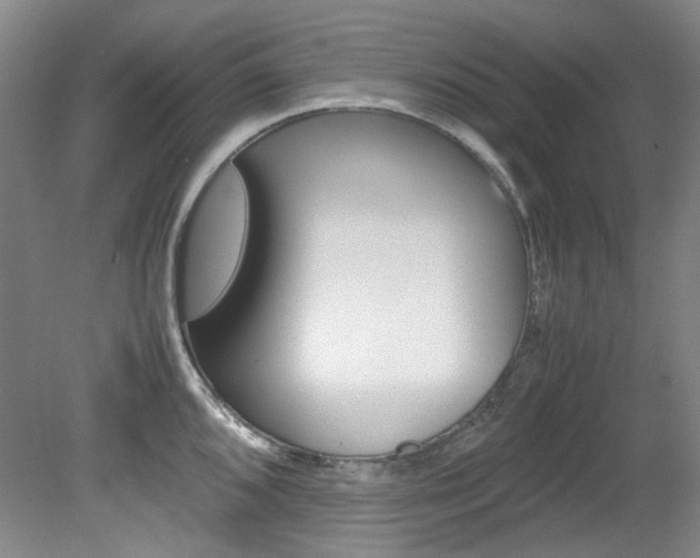 X0000082151096200701191017