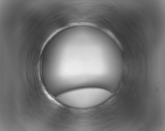 X0000082151100200701191017