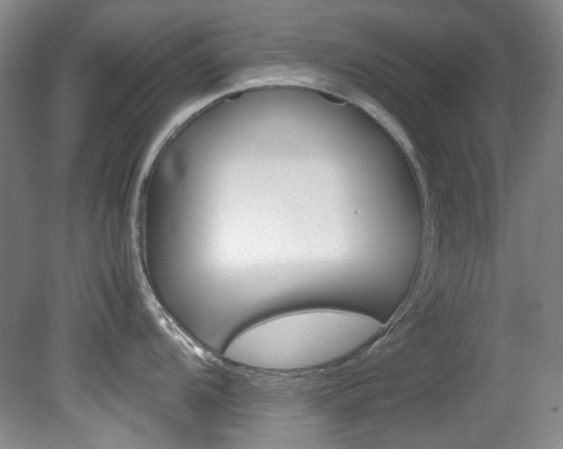 X0000082151104200701191017