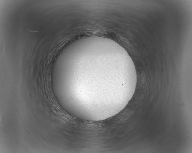 X0000082151105200701191016