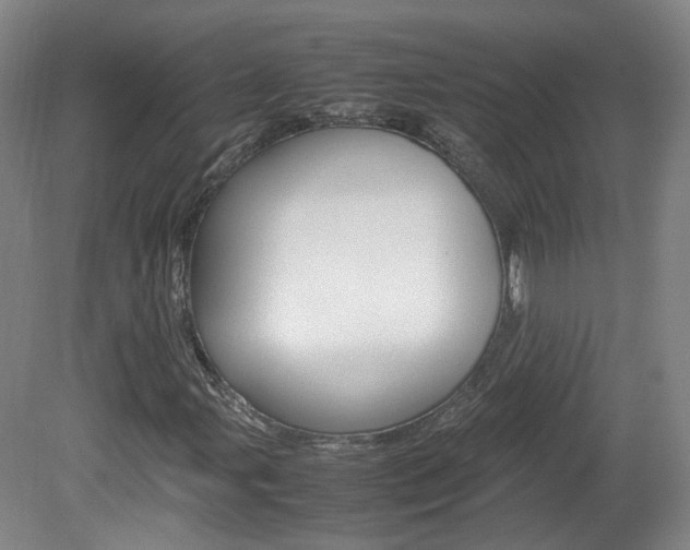 X0000082151107200701191016