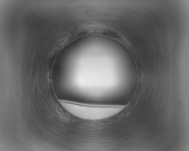 X0000082151108200701191016