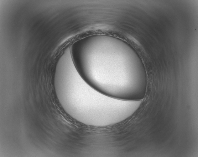X0000082151112200701191016