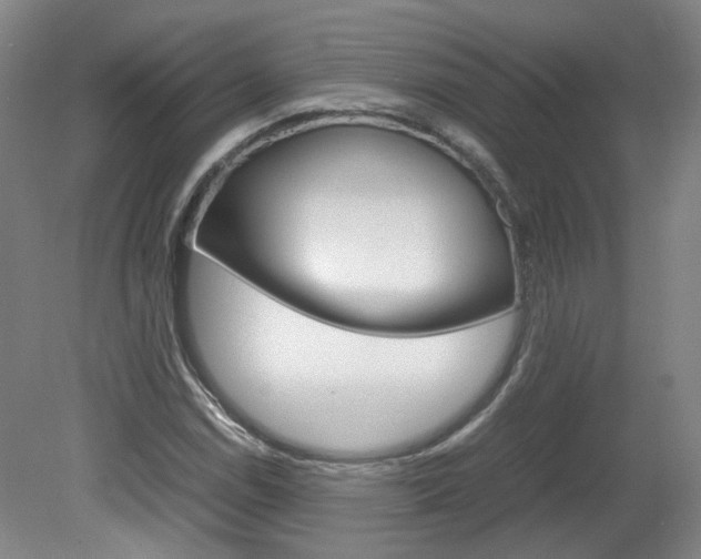 X0000082151114200701191016