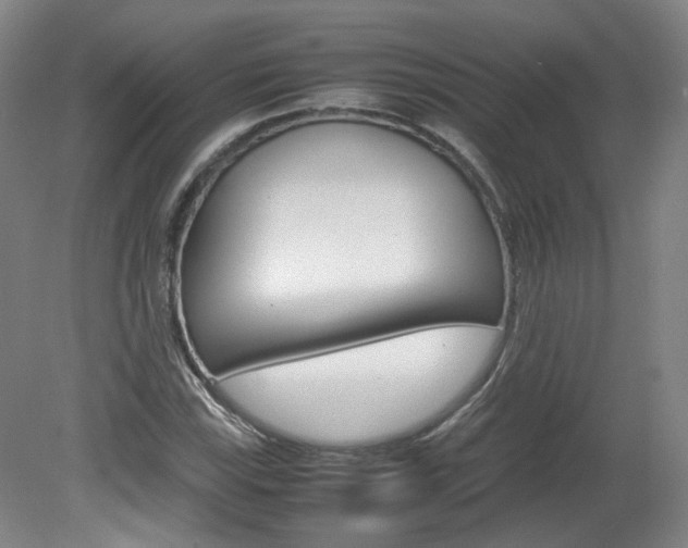 X0000082151115200701191016