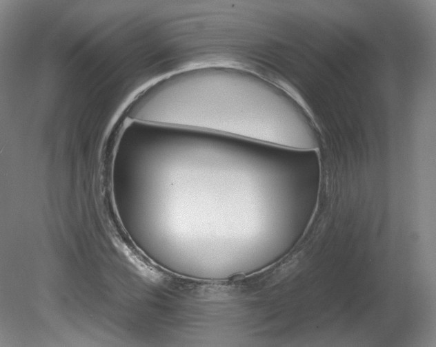 X0000082151116200701191016