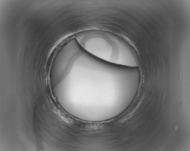 X0000082151117200701191016