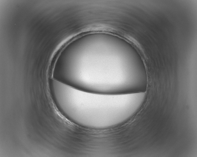X0000082151120200701191016