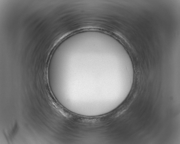 X0000082151121200701191016