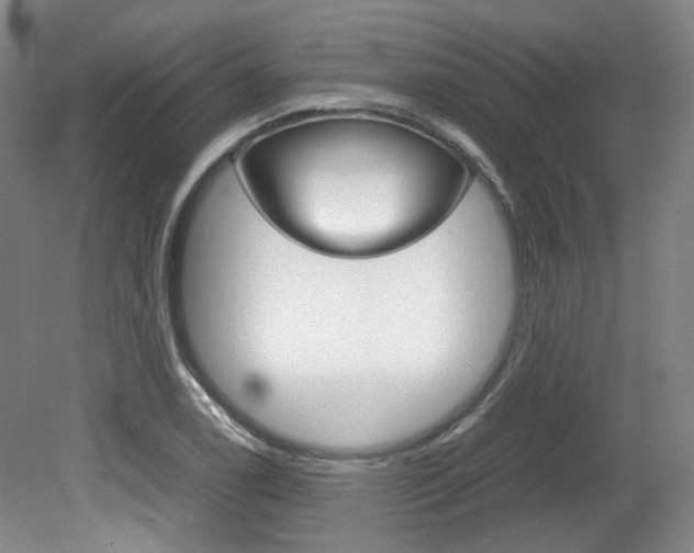X0000082151122200701191016