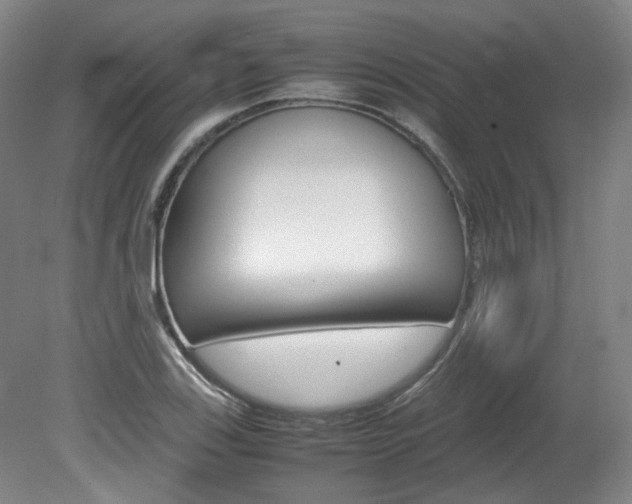 X0000082151123200701191016