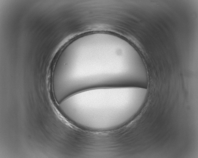 X0000082151126200701191016