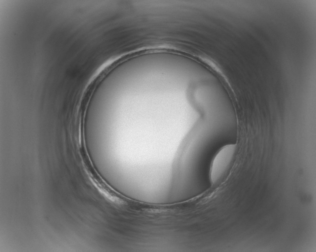 X0000082151127200701191016