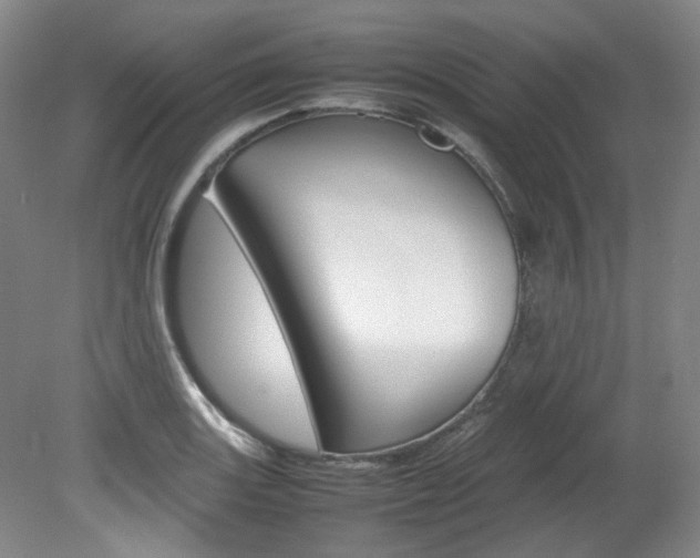 X0000082151131200701191017