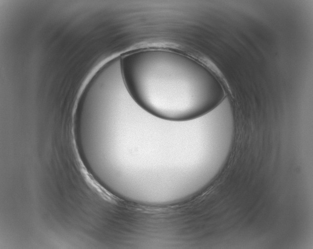 X0000082151132200701191017