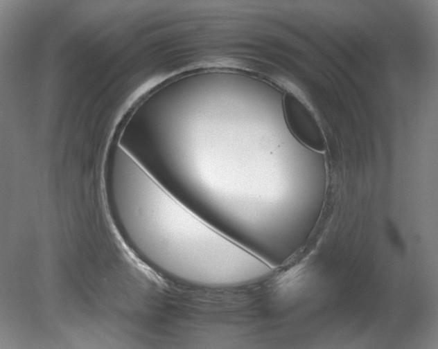 X0000082151133200701191017