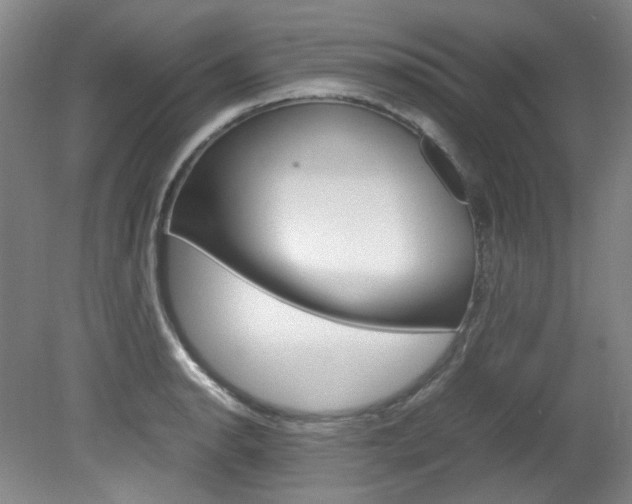 X0000082151134200701191017