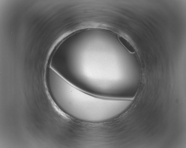 X0000082151136200701191017