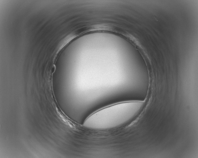 X0000082151137200701191017