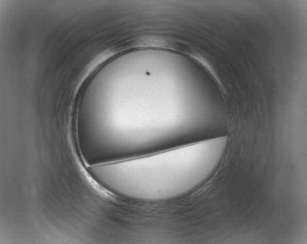 X0000082151139200701191017
