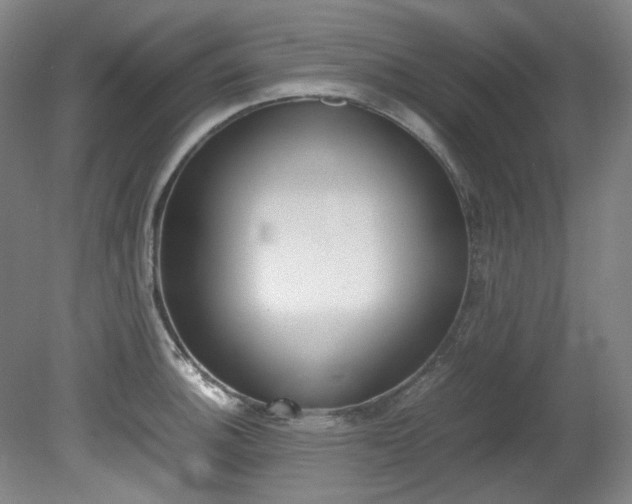 X0000082151140200701191017