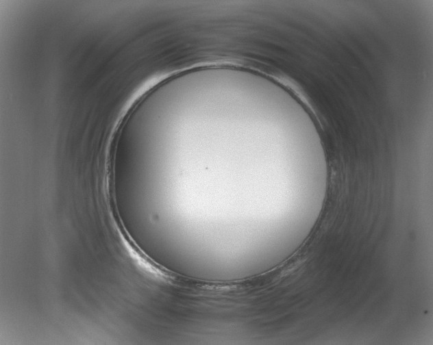 X0000082151143200701191017