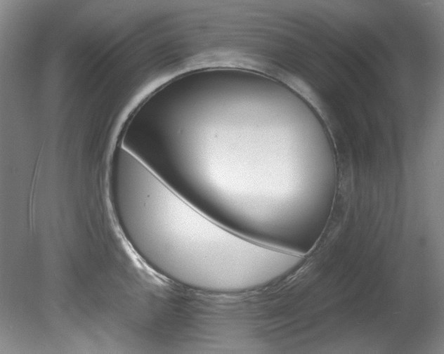 X0000082151144200701191017