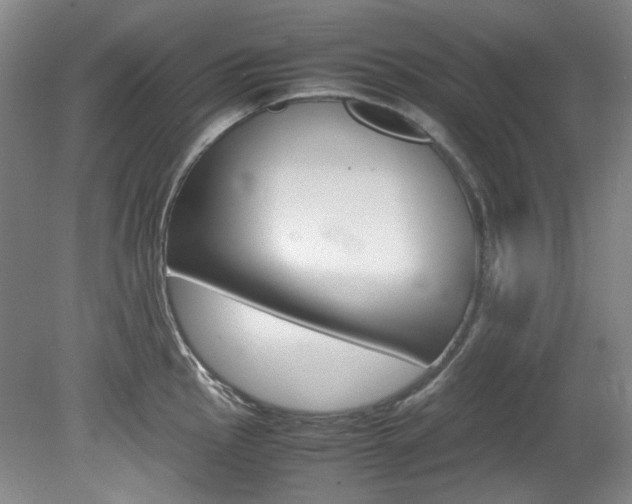 X0000082151145200701191017
