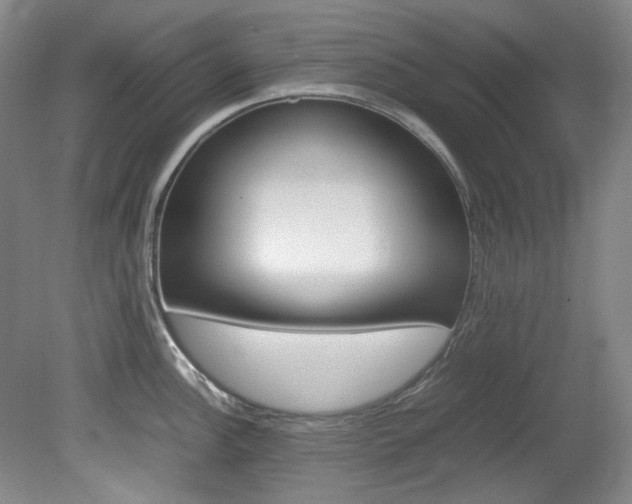 X0000082151148200701191017