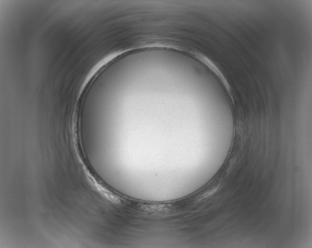 X0000082151149200701191017