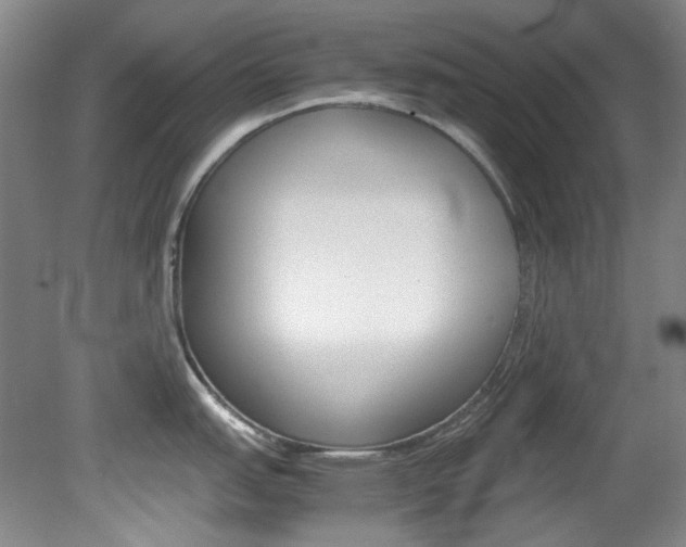 X0000082151151200701191017