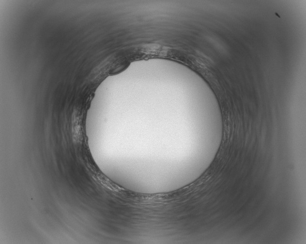 X0000082151154200701191016