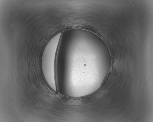 X0000082151156200701191016