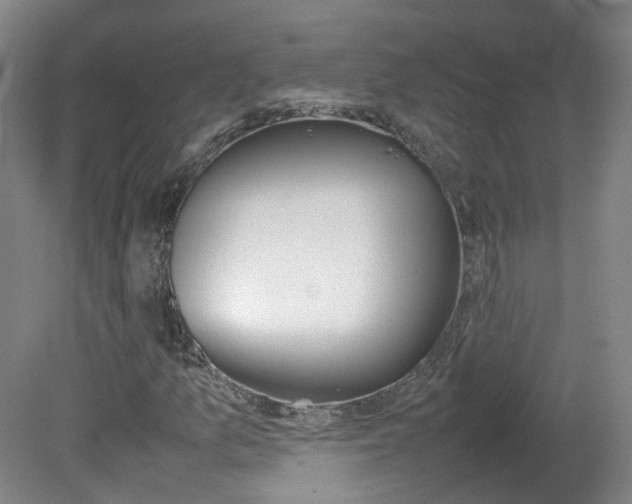 X0000082151157200701191016