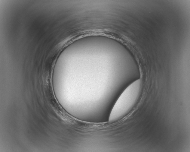 X0000082151161200701191016