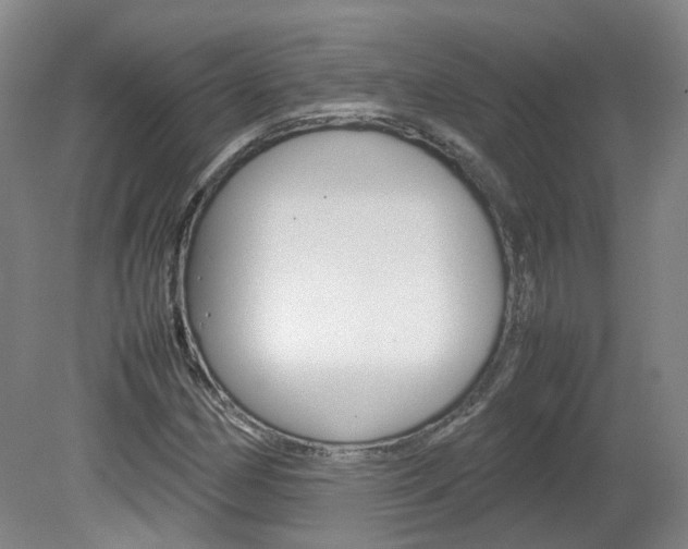 X0000082151162200701191016