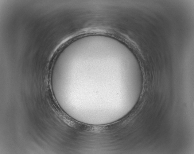 X0000082151166200701191016