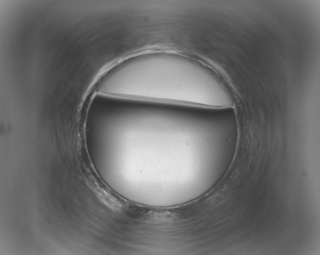 X0000082151168200701191016