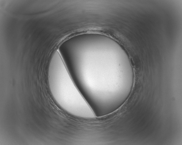 X0000082151169200701191016